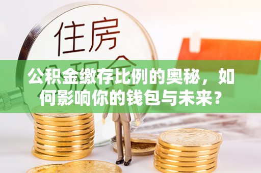 南澳公积金缴存比例的奥秘，如何影响你的钱包与未来？