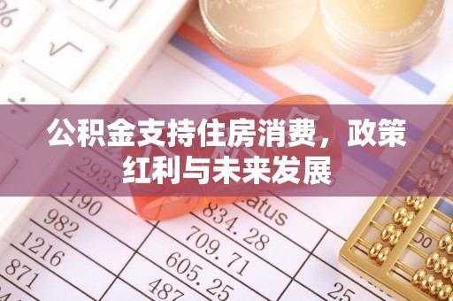南澳公积金支持住房消费，政策红利与未来发展