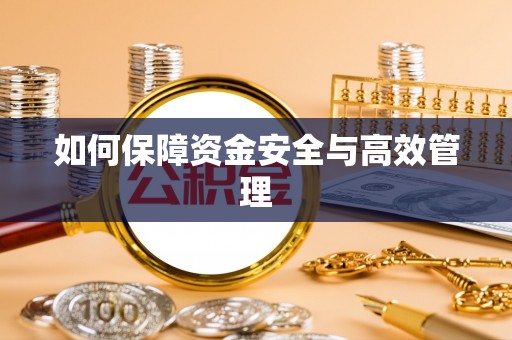 南澳如何保障资金安全与高效管理