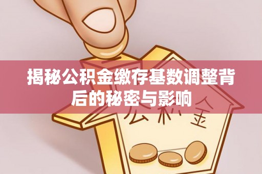 南澳揭秘公积金缴存基数调整背后的秘密与影响