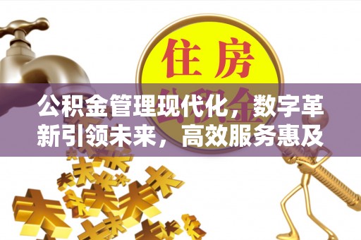南澳公积金管理现代化，数字革新引领未来，高效服务惠及民生