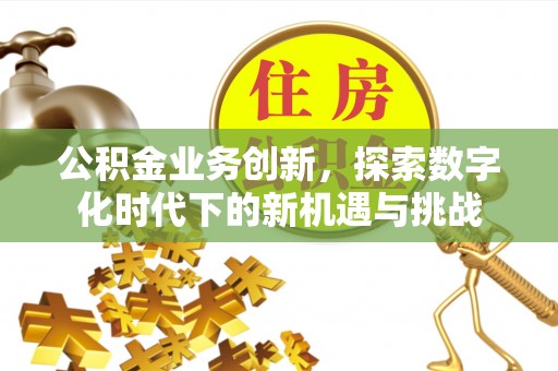 南澳公积金业务创新，探索数字化时代下的新机遇与挑战