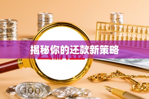 南澳揭秘你的还款新策略