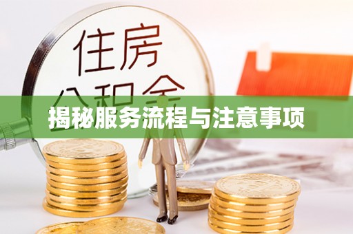 南澳揭秘服务流程与注意事项