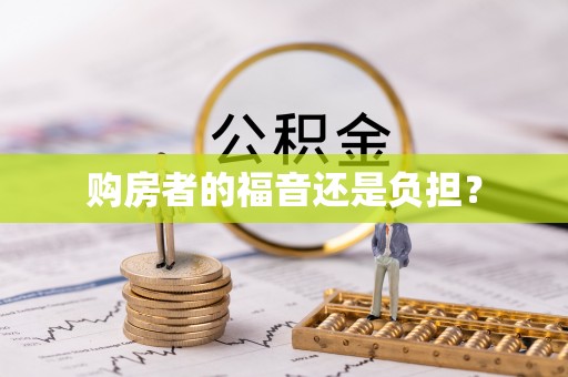 南澳购房者的福音还是负担？