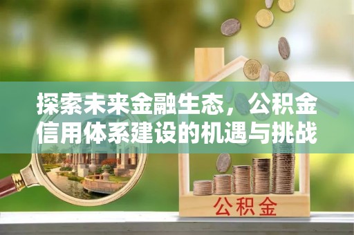 南澳探索未来金融生态，公积金信用体系建设的机遇与挑战