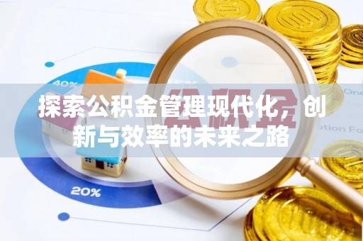 南澳探索公积金管理现代化，创新与效率的未来之路