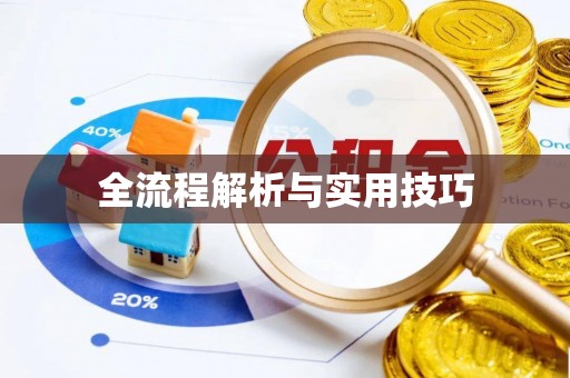南澳全流程解析与实用技巧