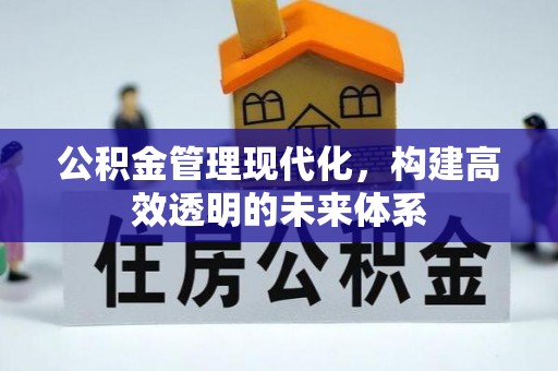 南澳公积金管理现代化，构建高效透明的未来体系