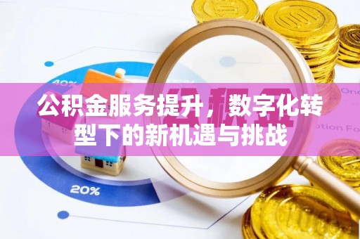 南澳公积金服务提升，数字化转型下的新机遇与挑战
