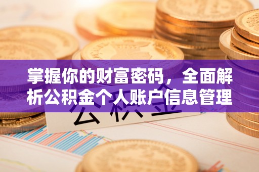 南澳掌握你的财富密码，全面解析公积金个人账户信息管理与优化