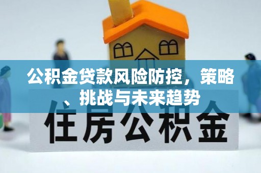 南澳公积金贷款风险防控，策略、挑战与未来趋势