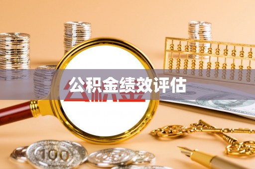 南澳公积金绩效评估