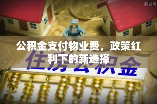 南澳公积金支付物业费，政策红利下的新选择