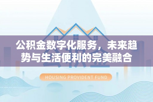 南澳公积金数字化服务，未来趋势与生活便利的完美融合