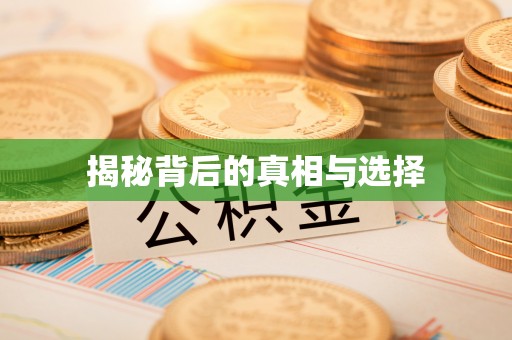 南澳揭秘背后的真相与选择