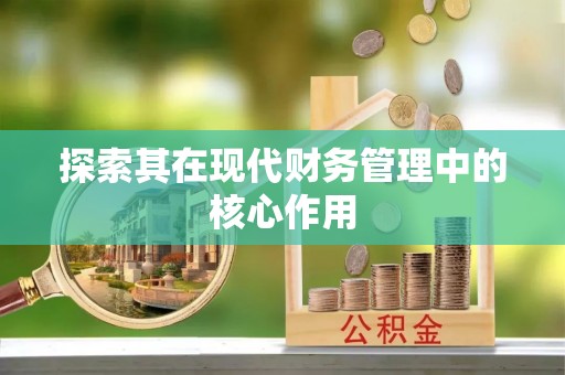 南澳探索其在现代财务管理中的核心作用