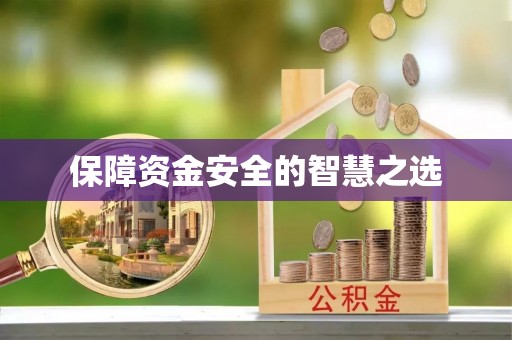 南澳保障资金安全的智慧之选