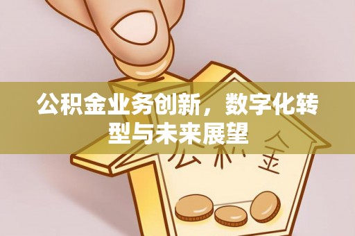南澳公积金业务创新，数字化转型与未来展望
