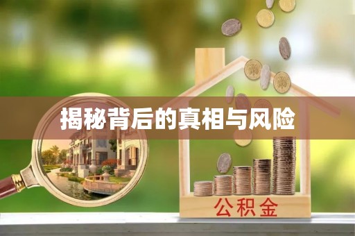 南澳揭秘背后的真相与风险