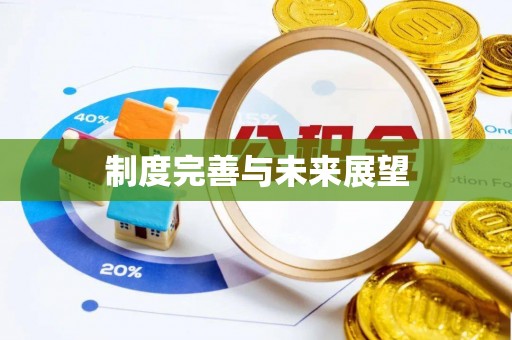 南澳制度完善与未来展望