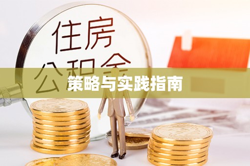 南澳策略与实践指南