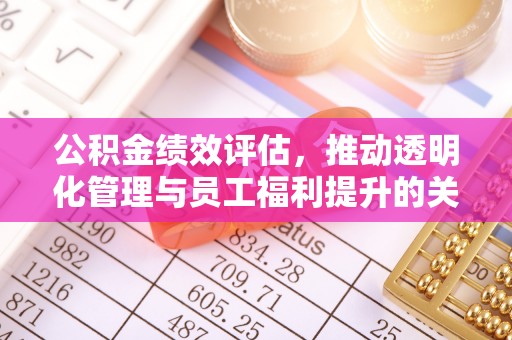 南澳公积金绩效评估，推动透明化管理与员工福利提升的关键