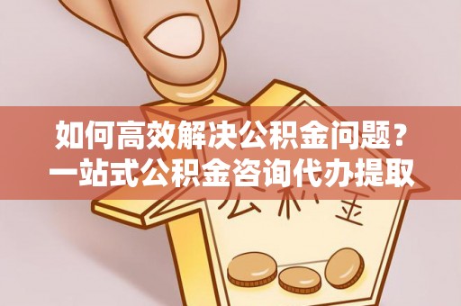 南澳如何高效解决公积金问题？一站式公积金咨询代办提取服务全解析