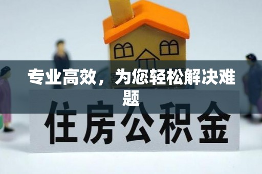 南澳专业高效，为您轻松解决难题