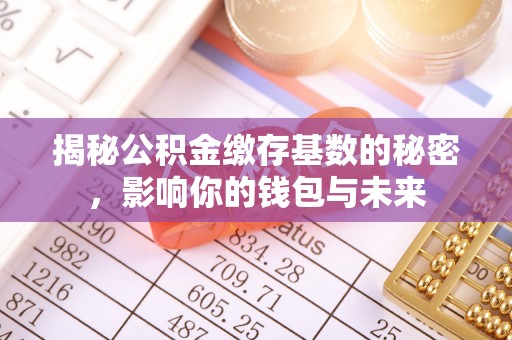 南澳揭秘公积金缴存基数的秘密，影响你的钱包与未来