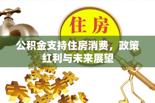 南澳公积金支持住房消费，政策红利与未来展望