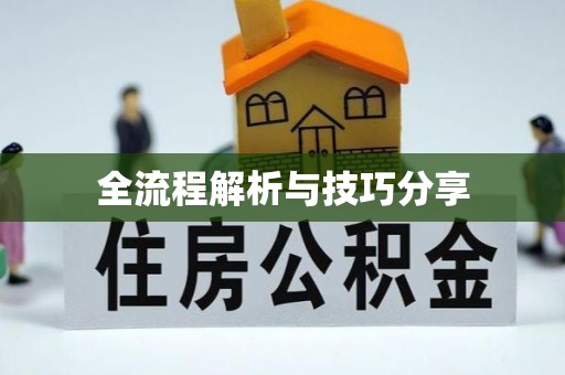 南澳全流程解析与技巧分享