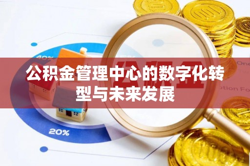 南澳公积金管理中心的数字化转型与未来发展