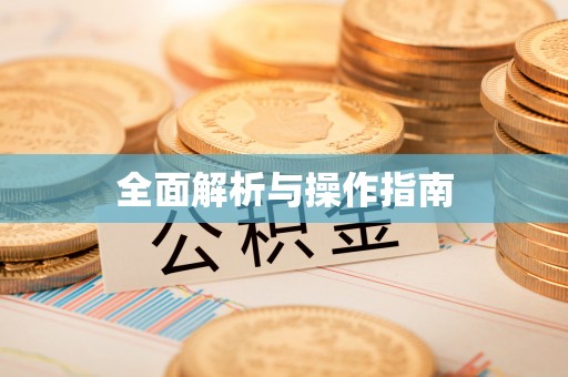 南澳全面解析与操作指南