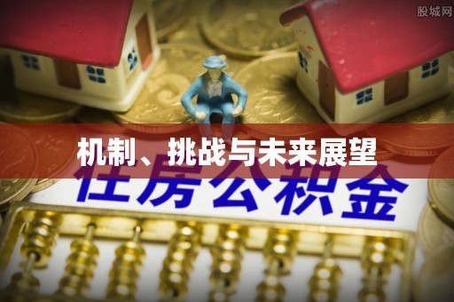 南澳机制、挑战与未来展望