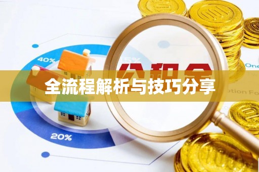 南澳全流程解析与技巧分享