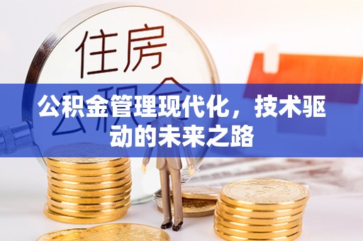 南澳公积金管理现代化，技术驱动的未来之路